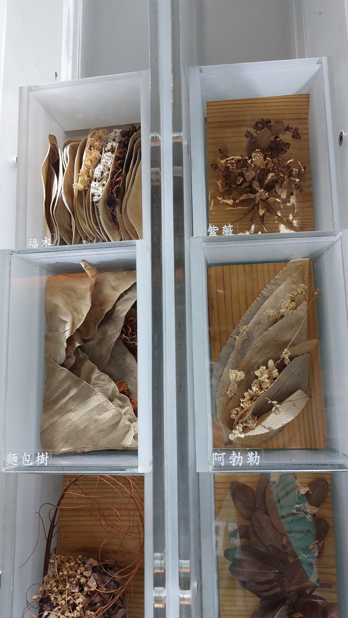手機上傳