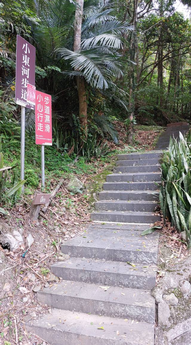 手機上傳