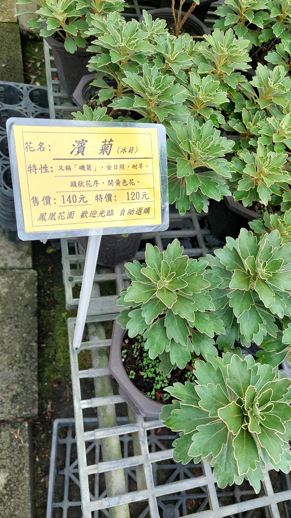 手機上傳