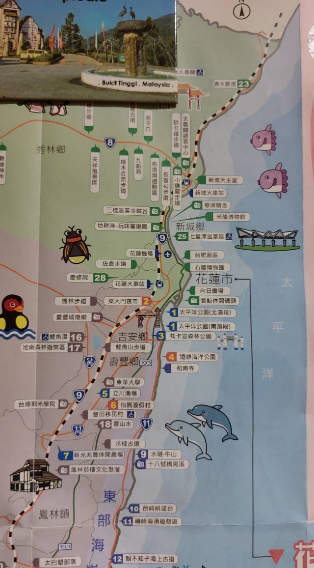 相片