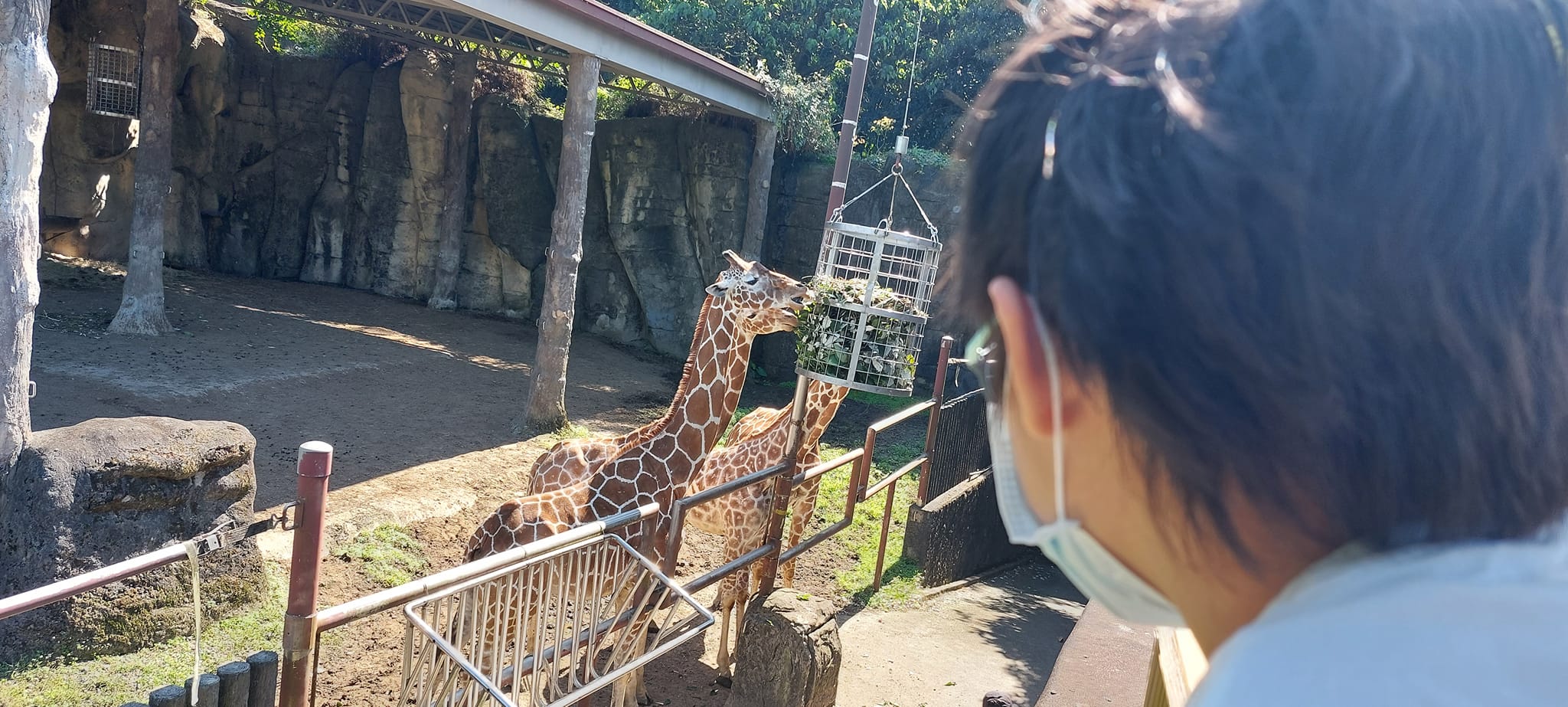 手機上傳