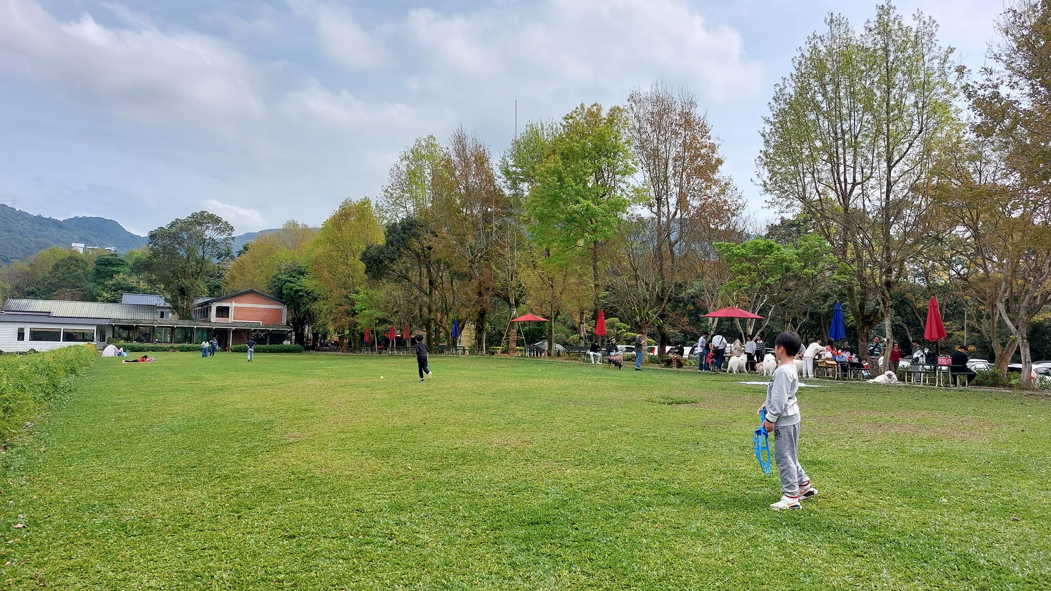 比較少農場記事