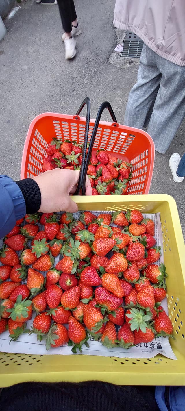 團行程有點辛苦