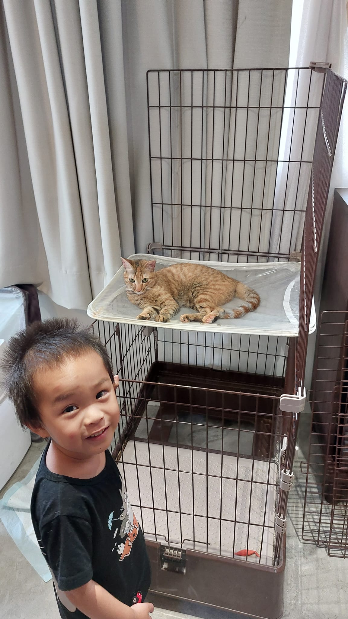 手機上傳