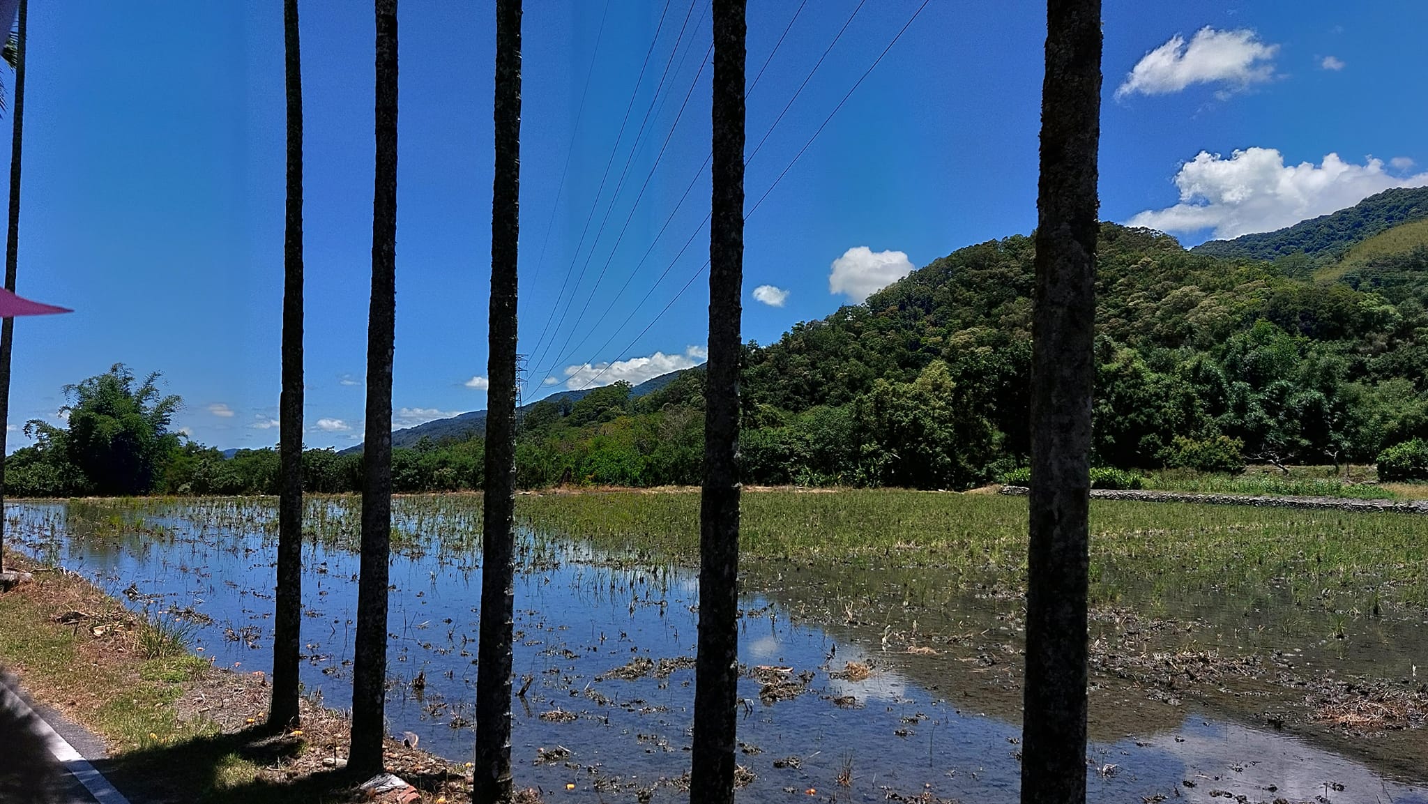 手機上傳