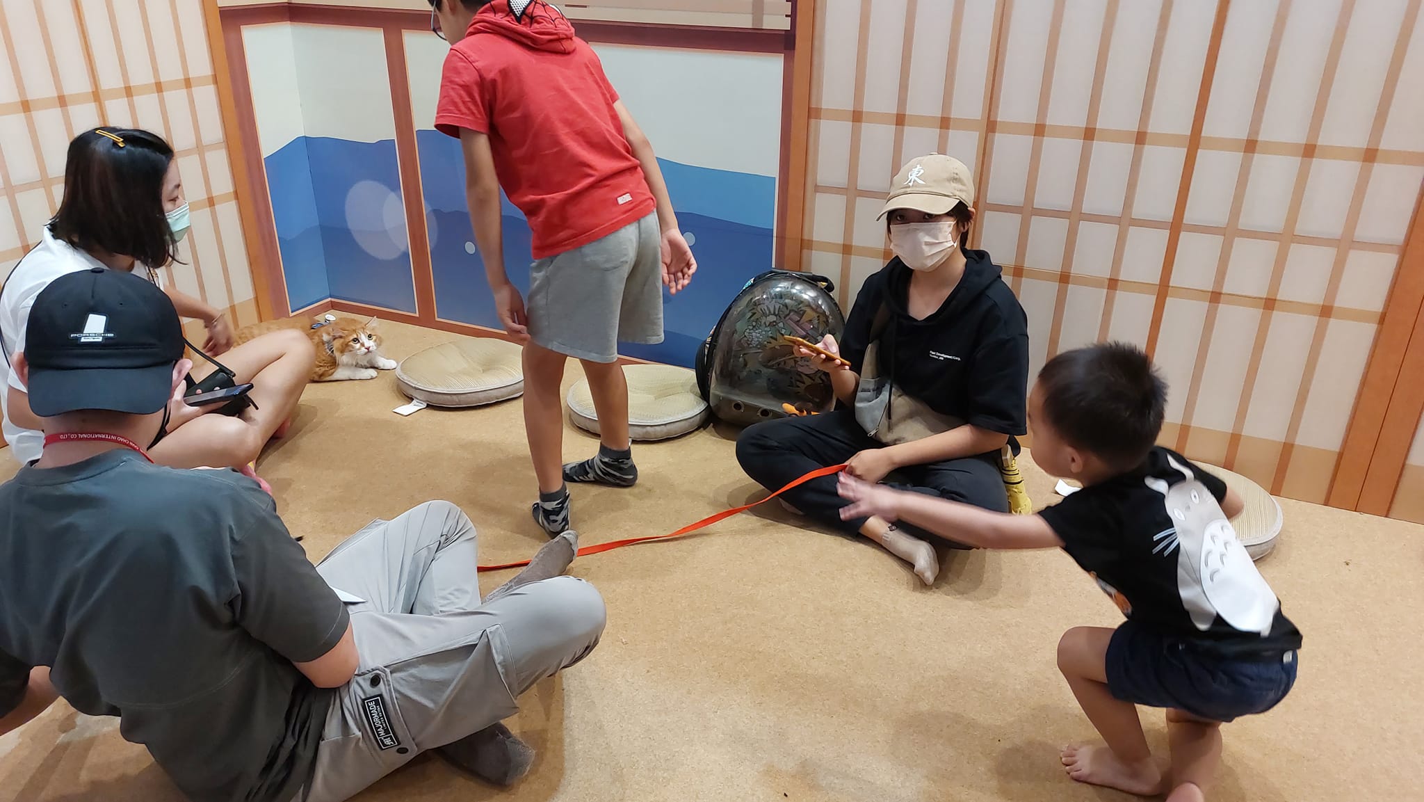 手機上傳