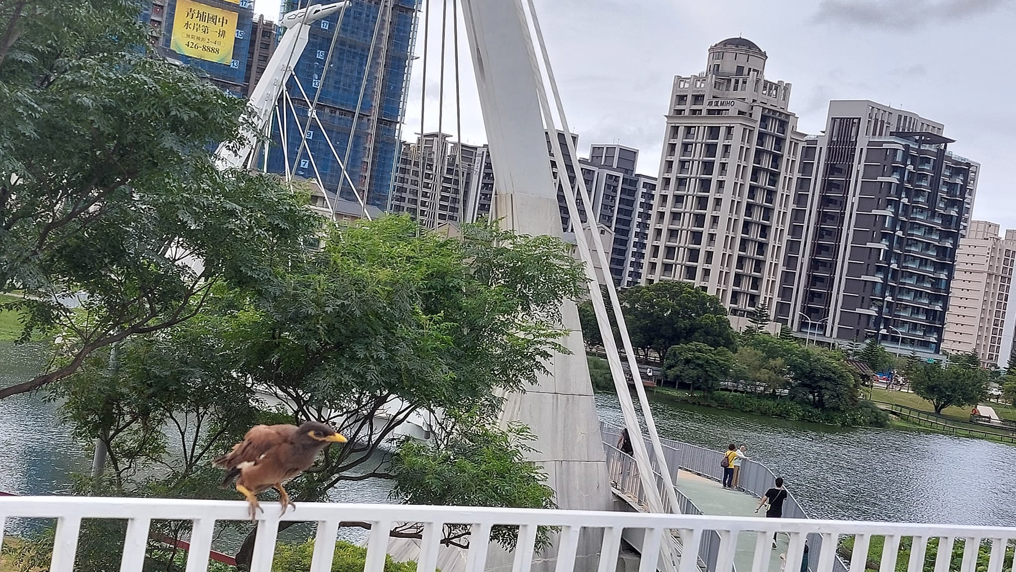 手機上傳
