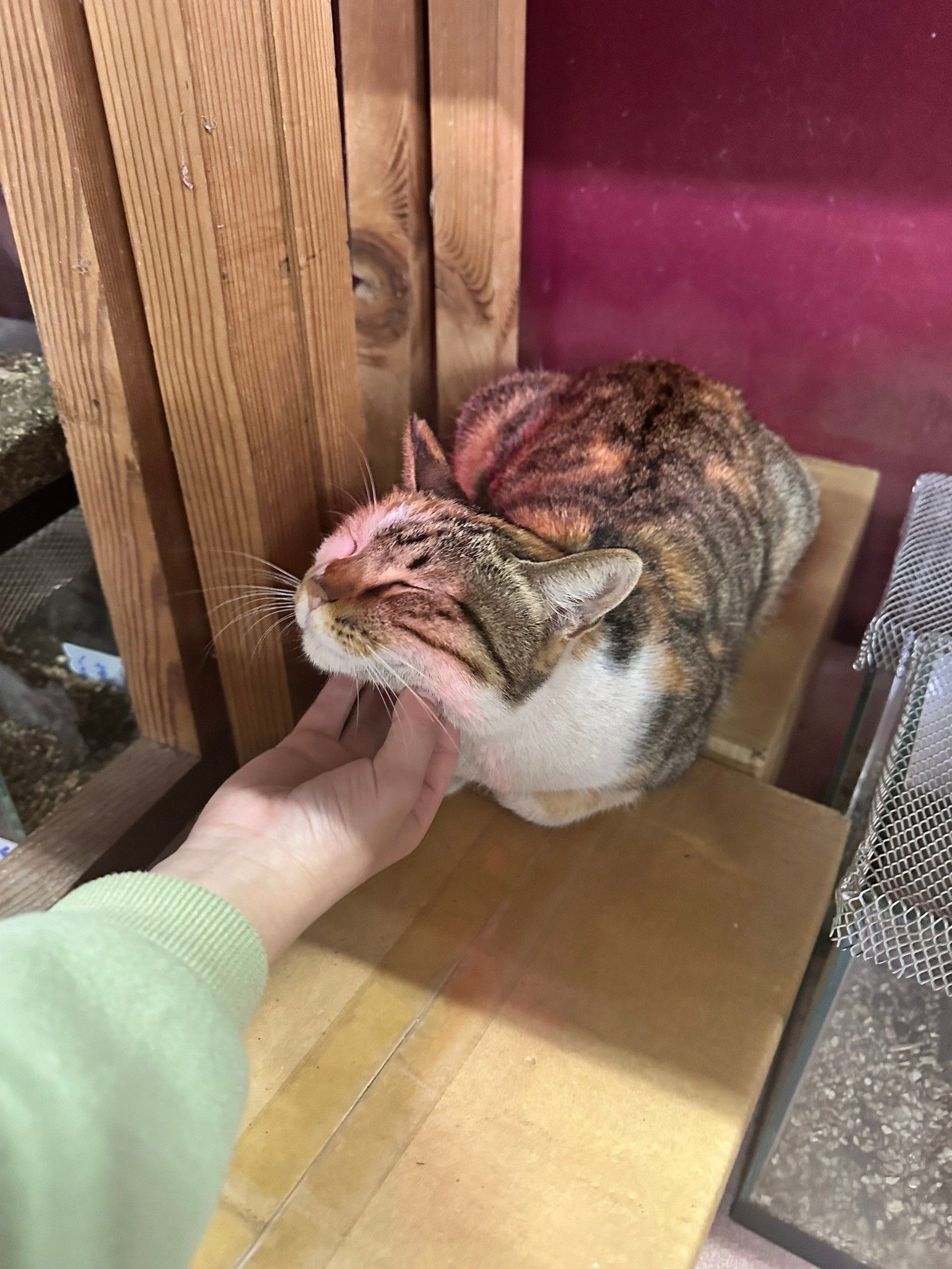 手機上傳