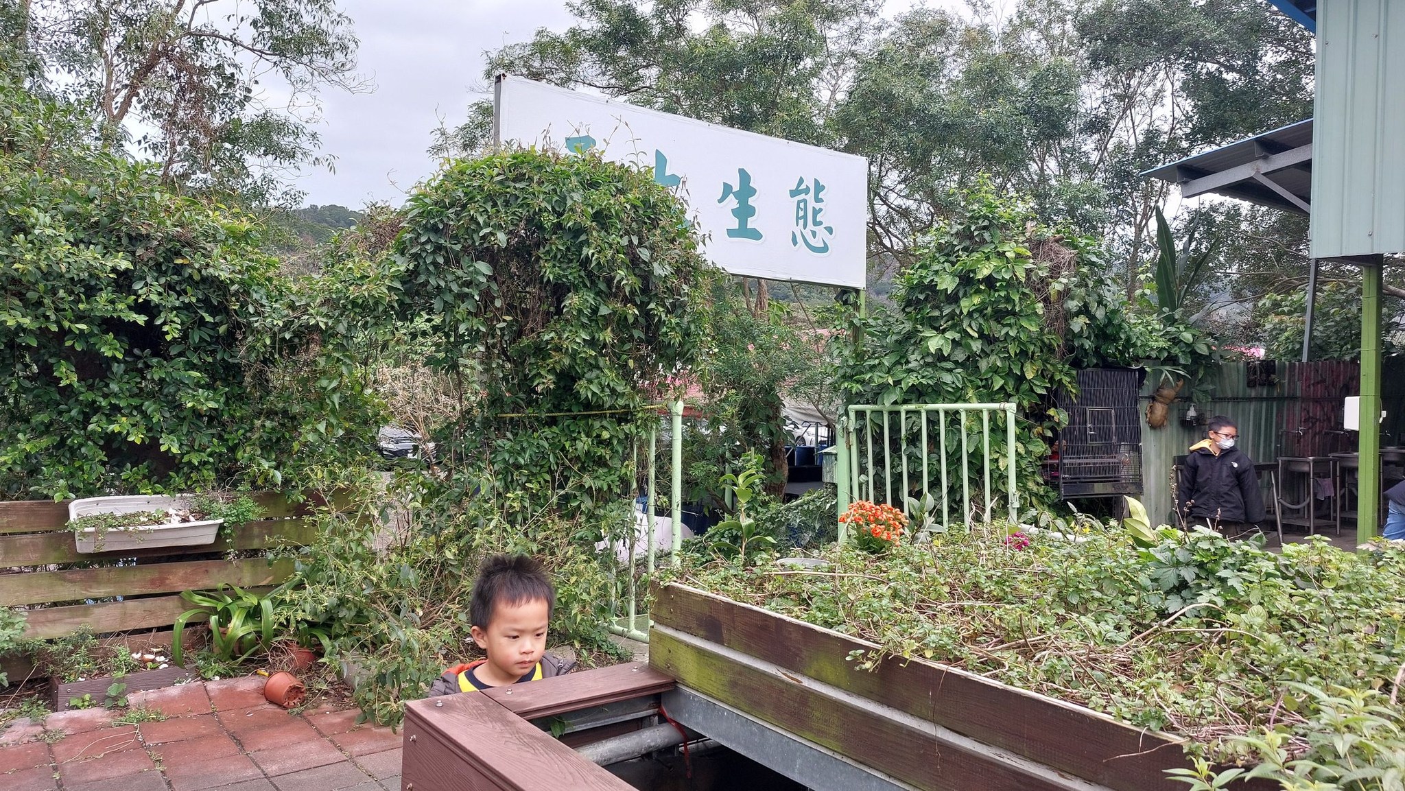 手機上傳