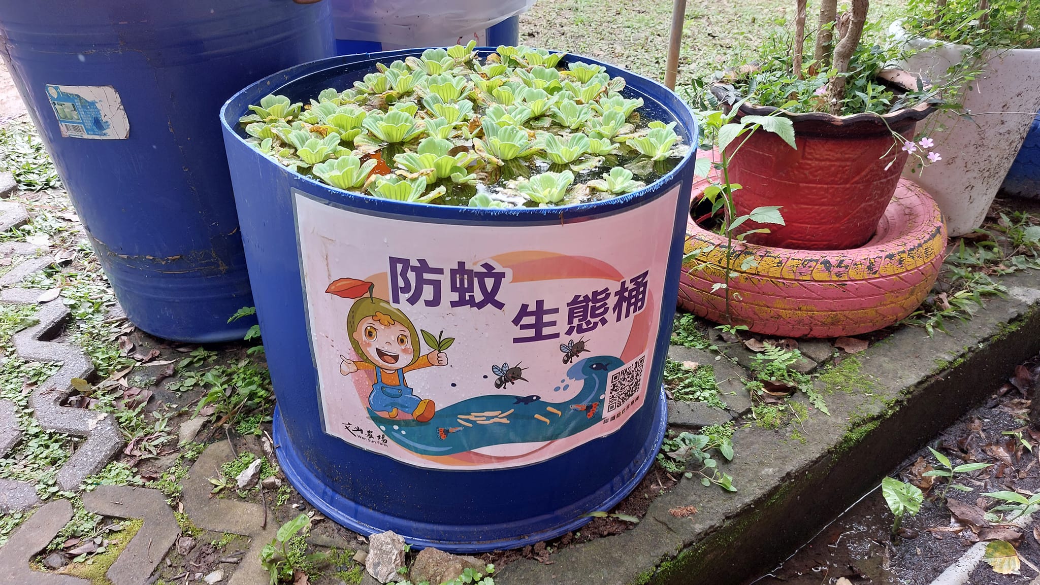手機上傳