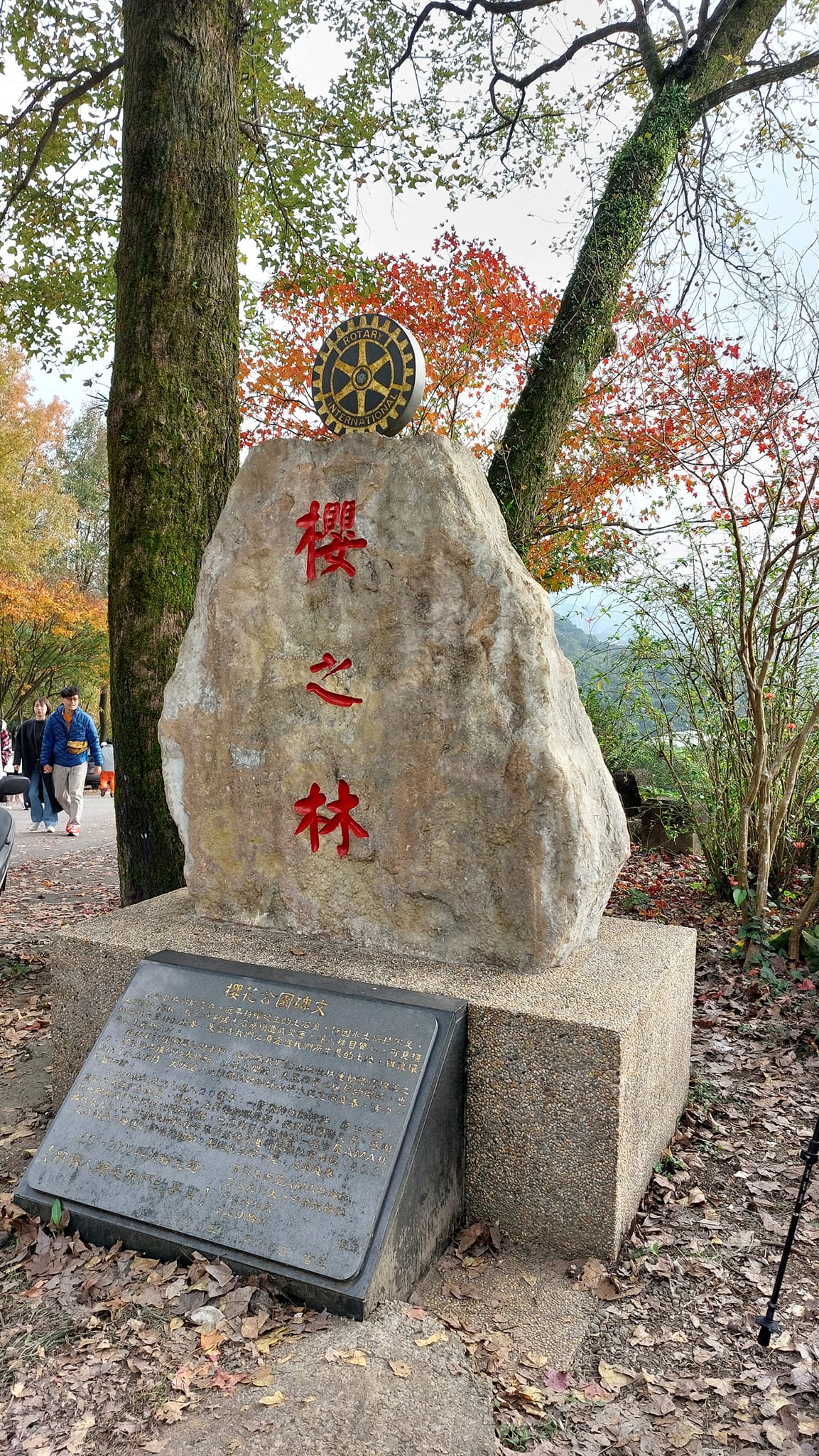 手機上傳