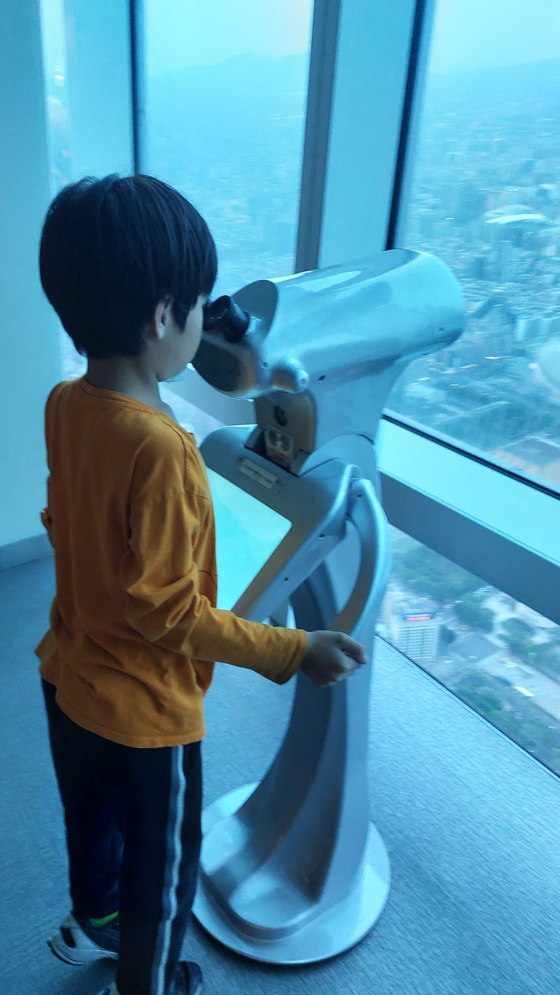 陪表哥們看101觀景台