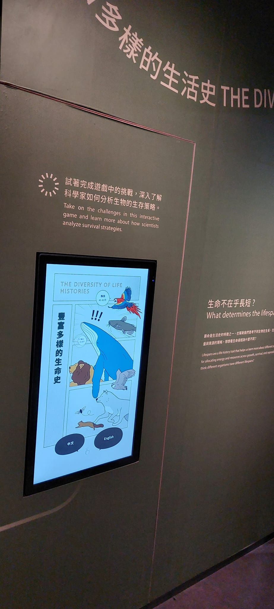 手機上傳