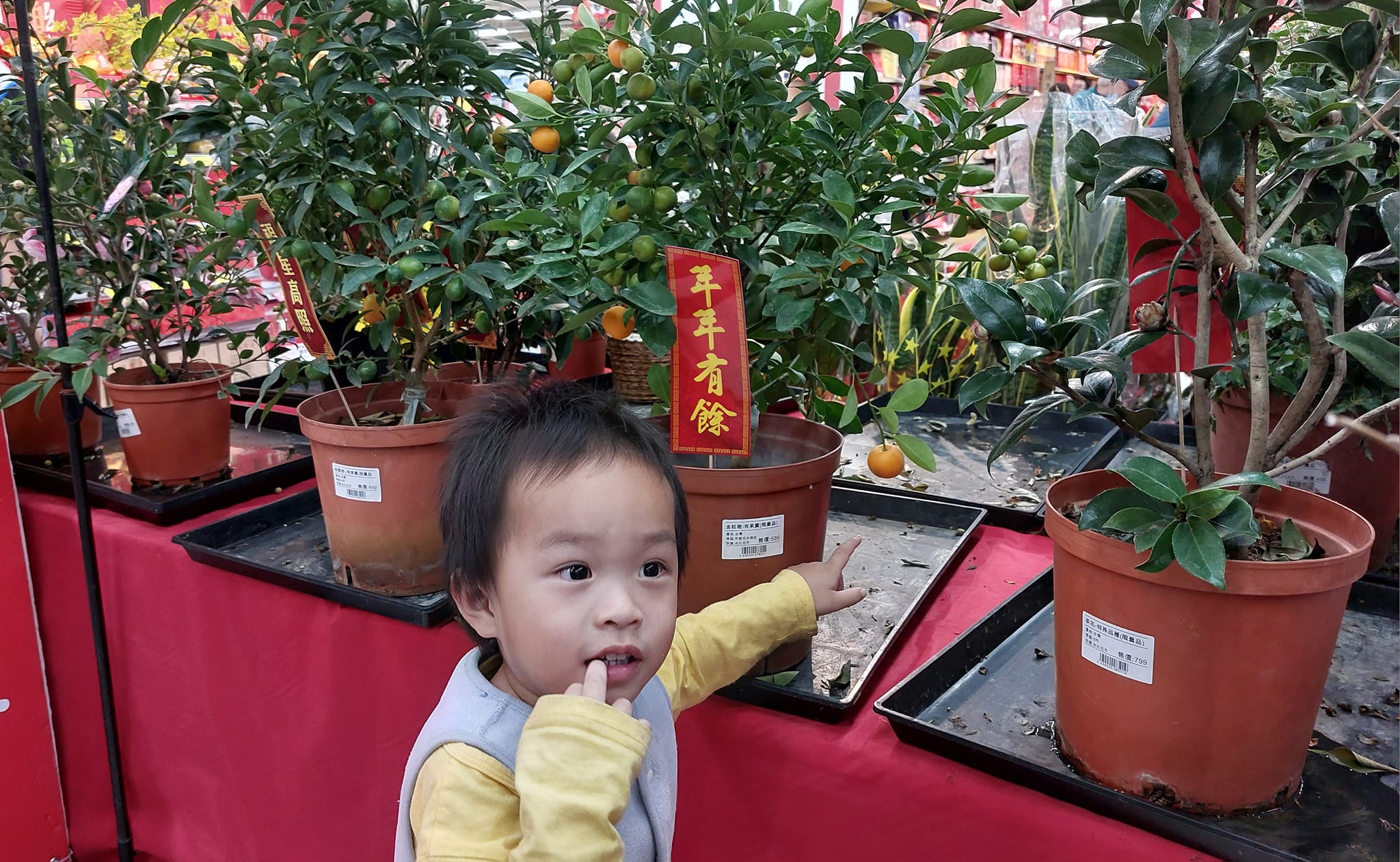 手機上傳