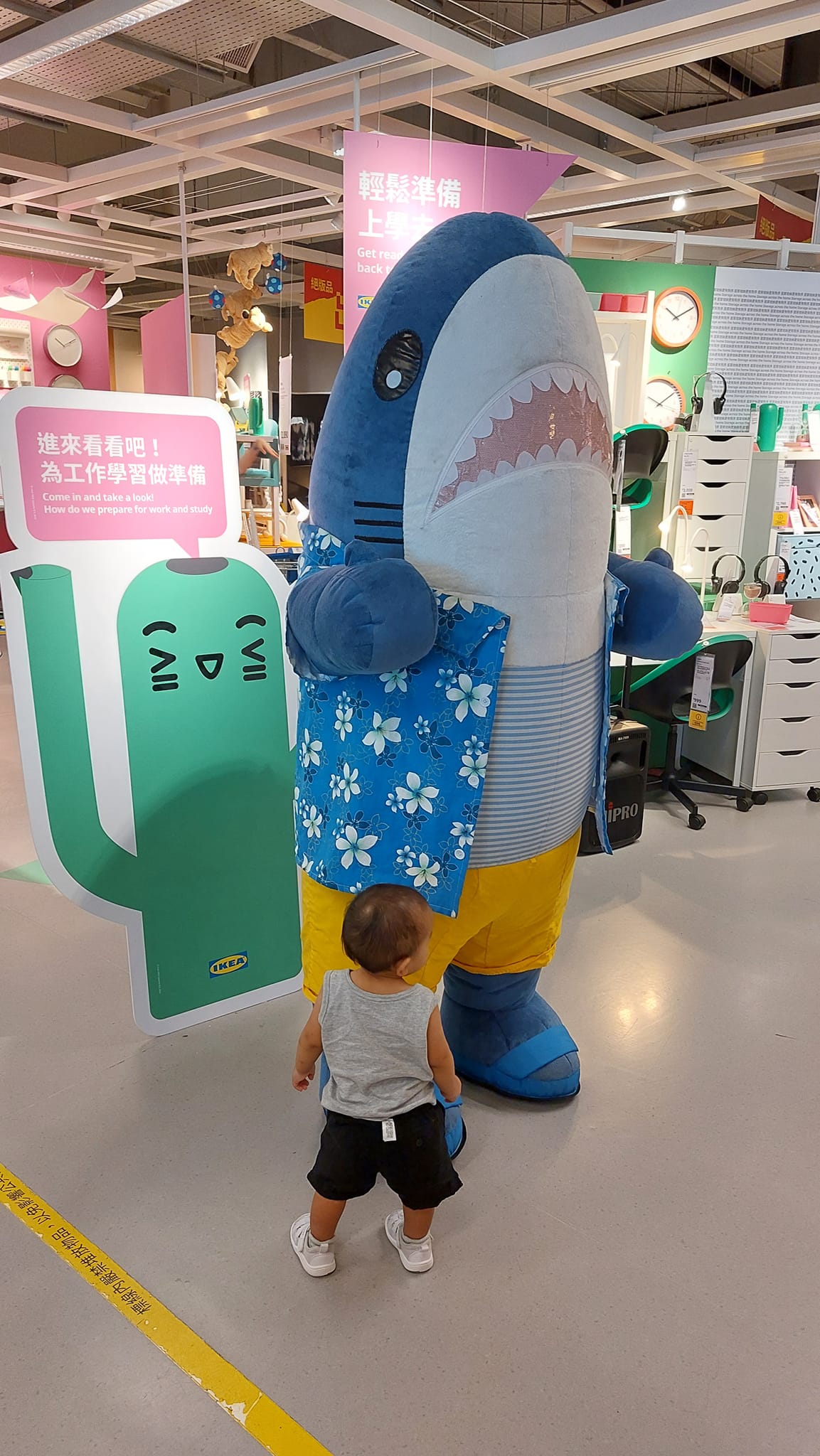 手機上傳