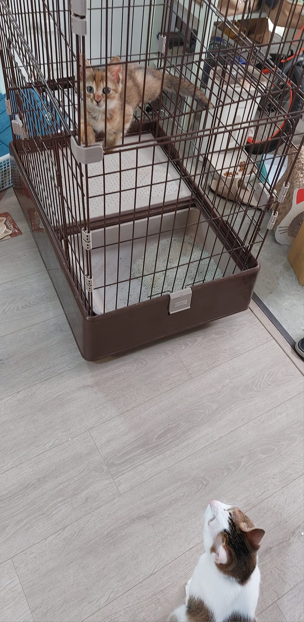 手機上傳