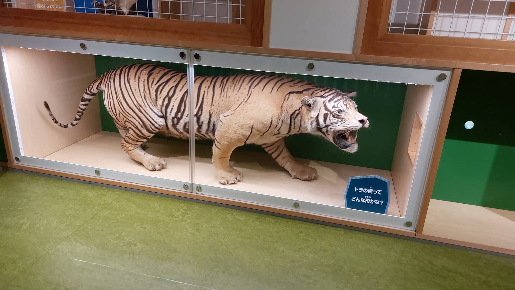 相片