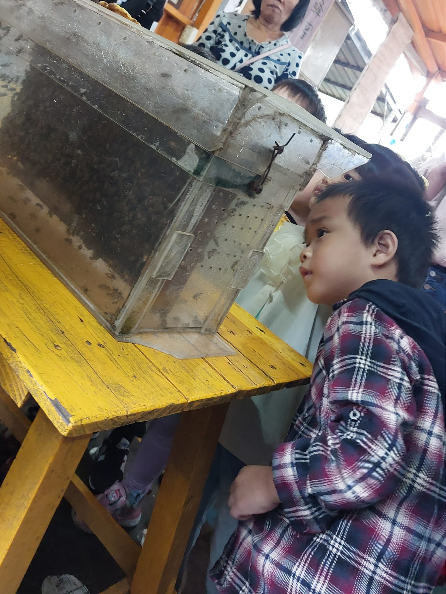 手機上傳