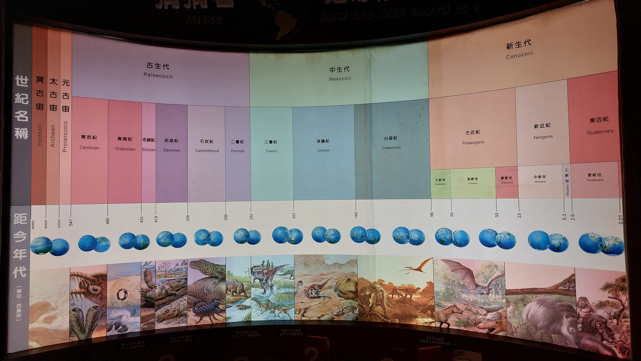 手機上傳