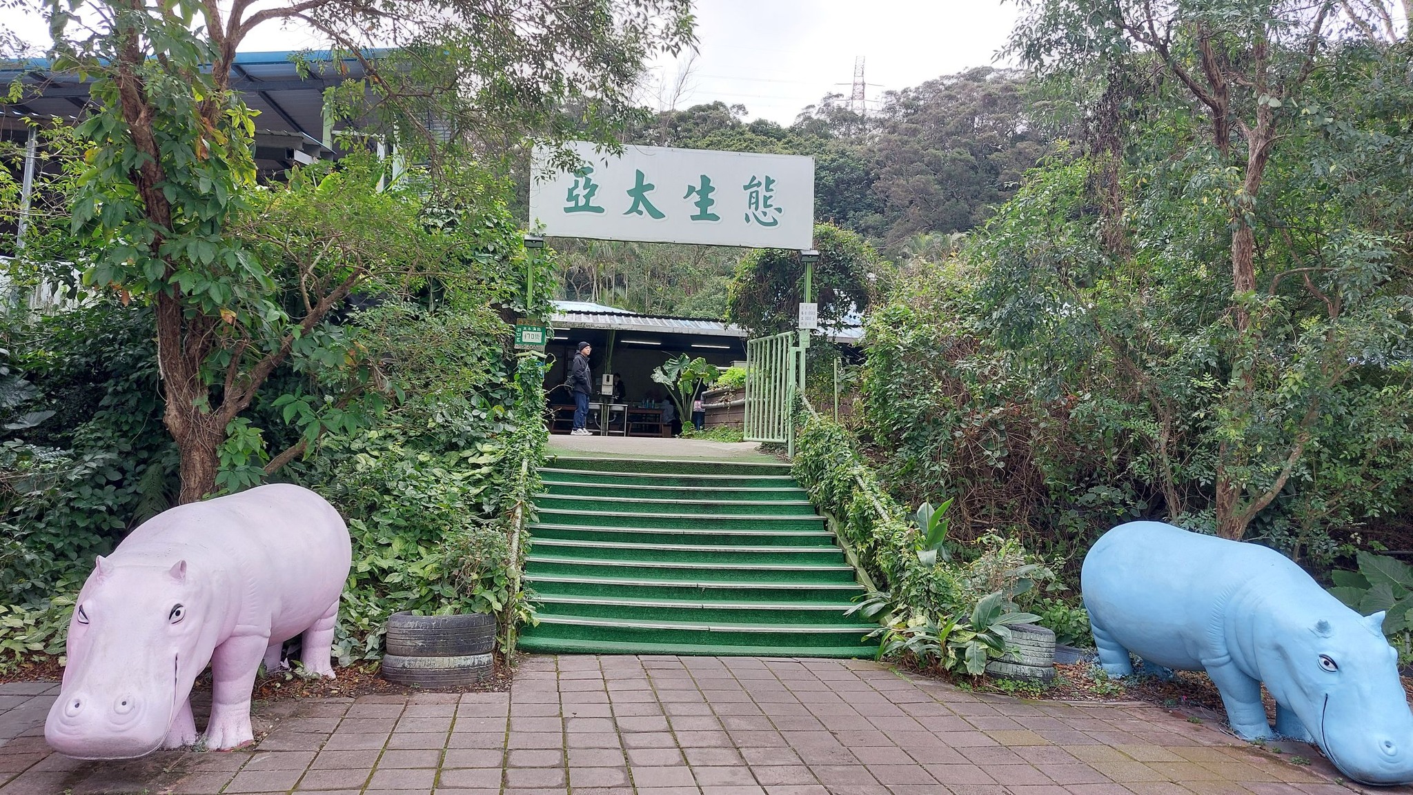 手機上傳