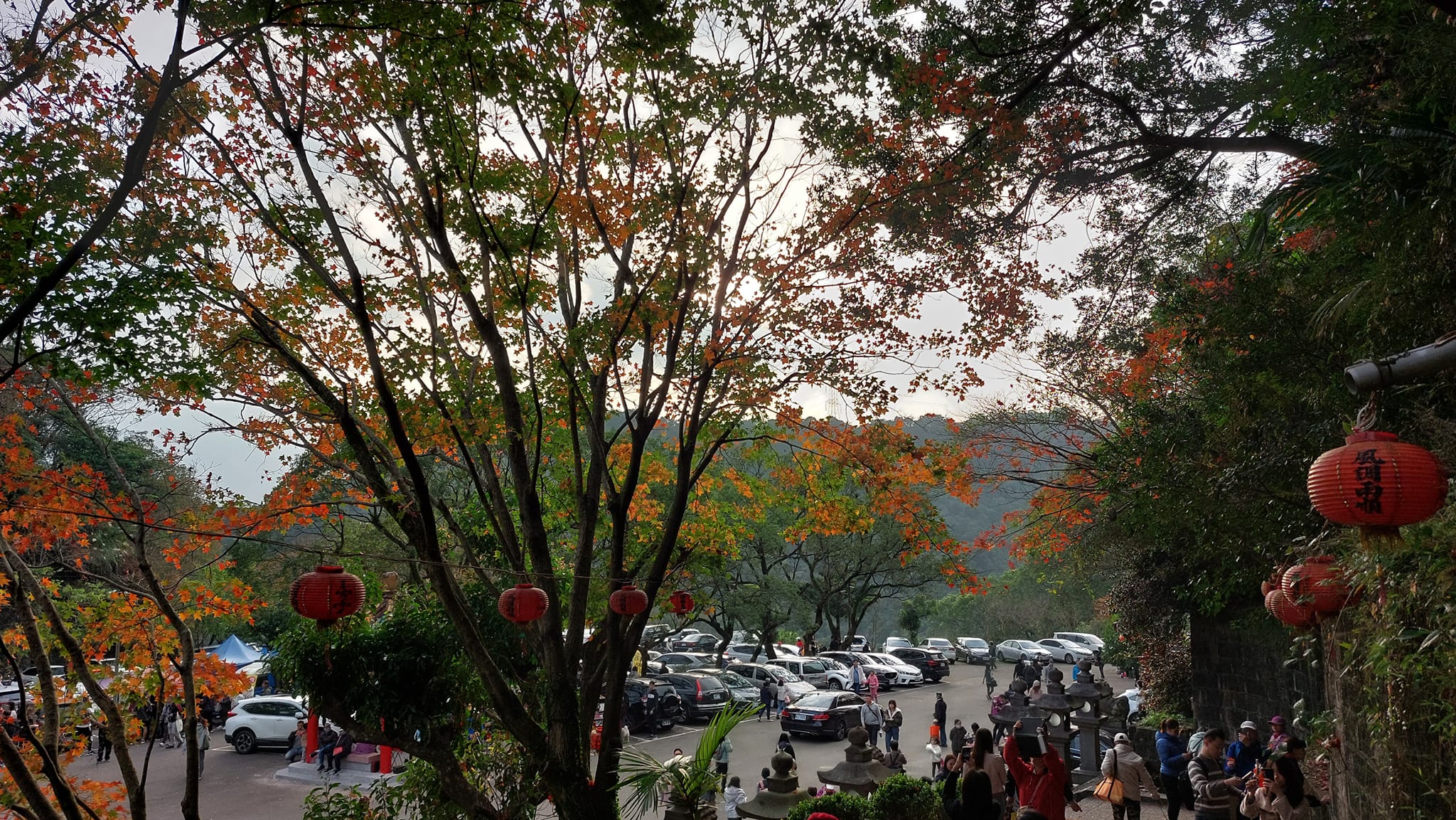手機上傳