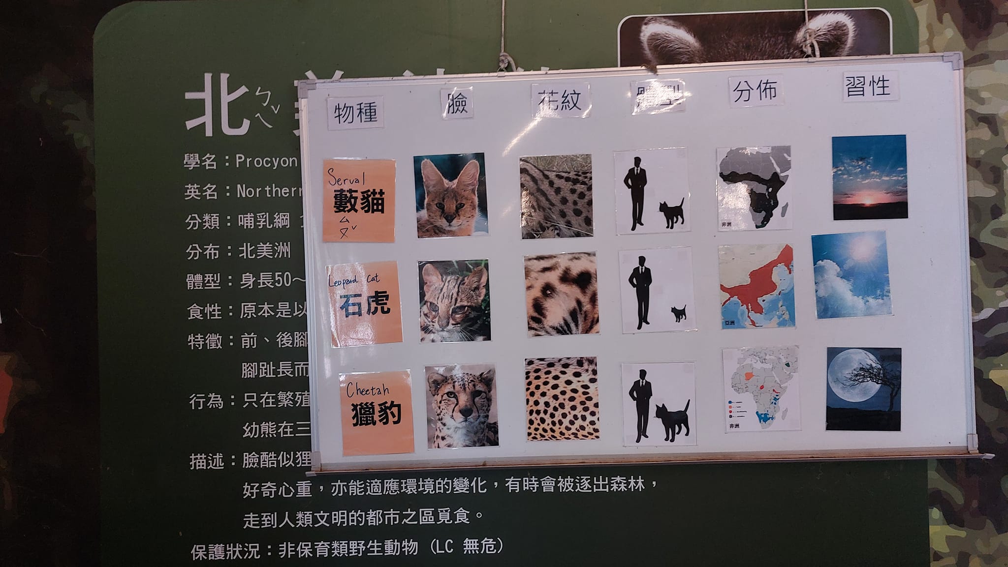 手機上傳