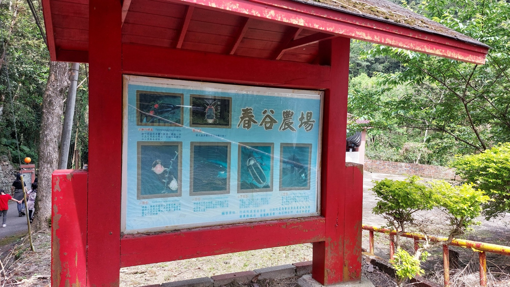 手機上傳