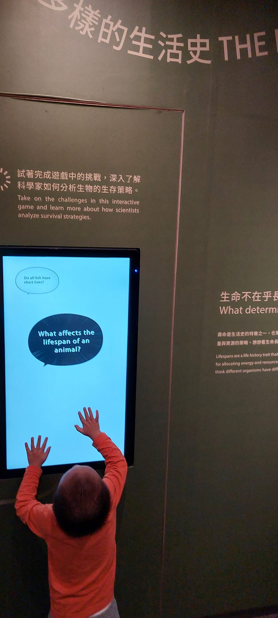 手機上傳
