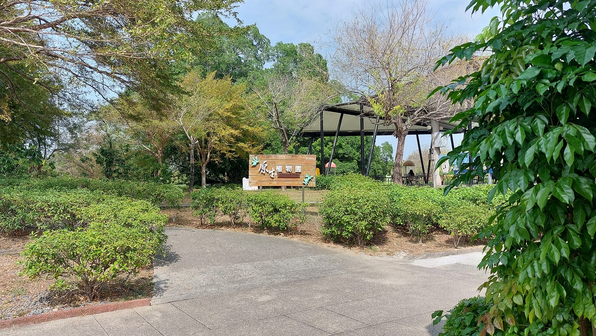 手機上傳