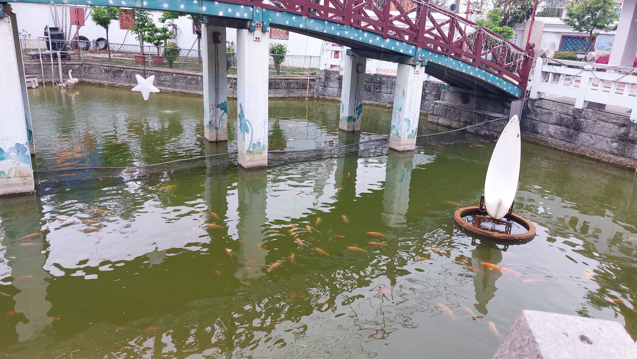 手機上傳