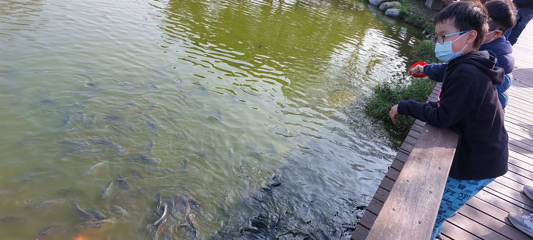 手機上傳