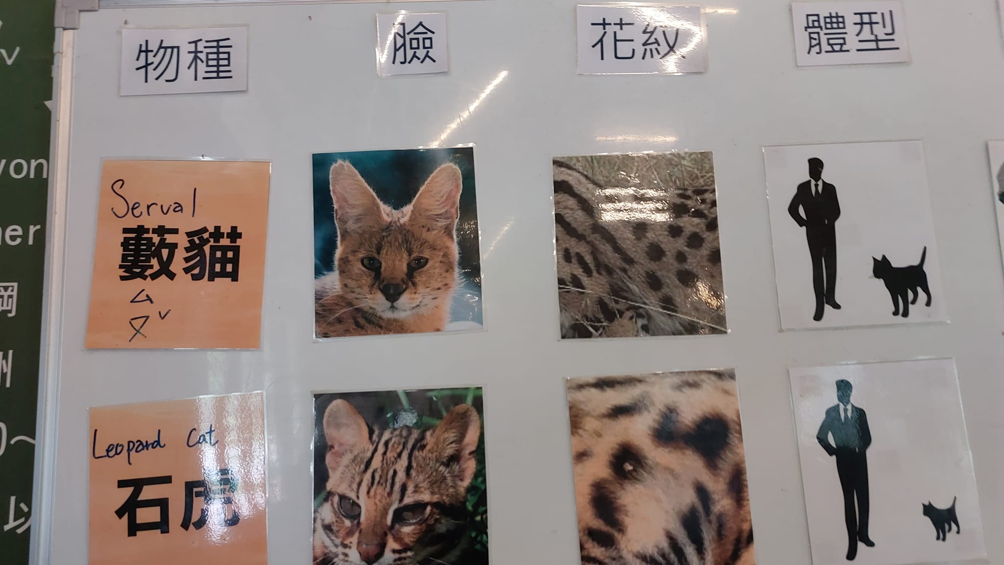 手機上傳