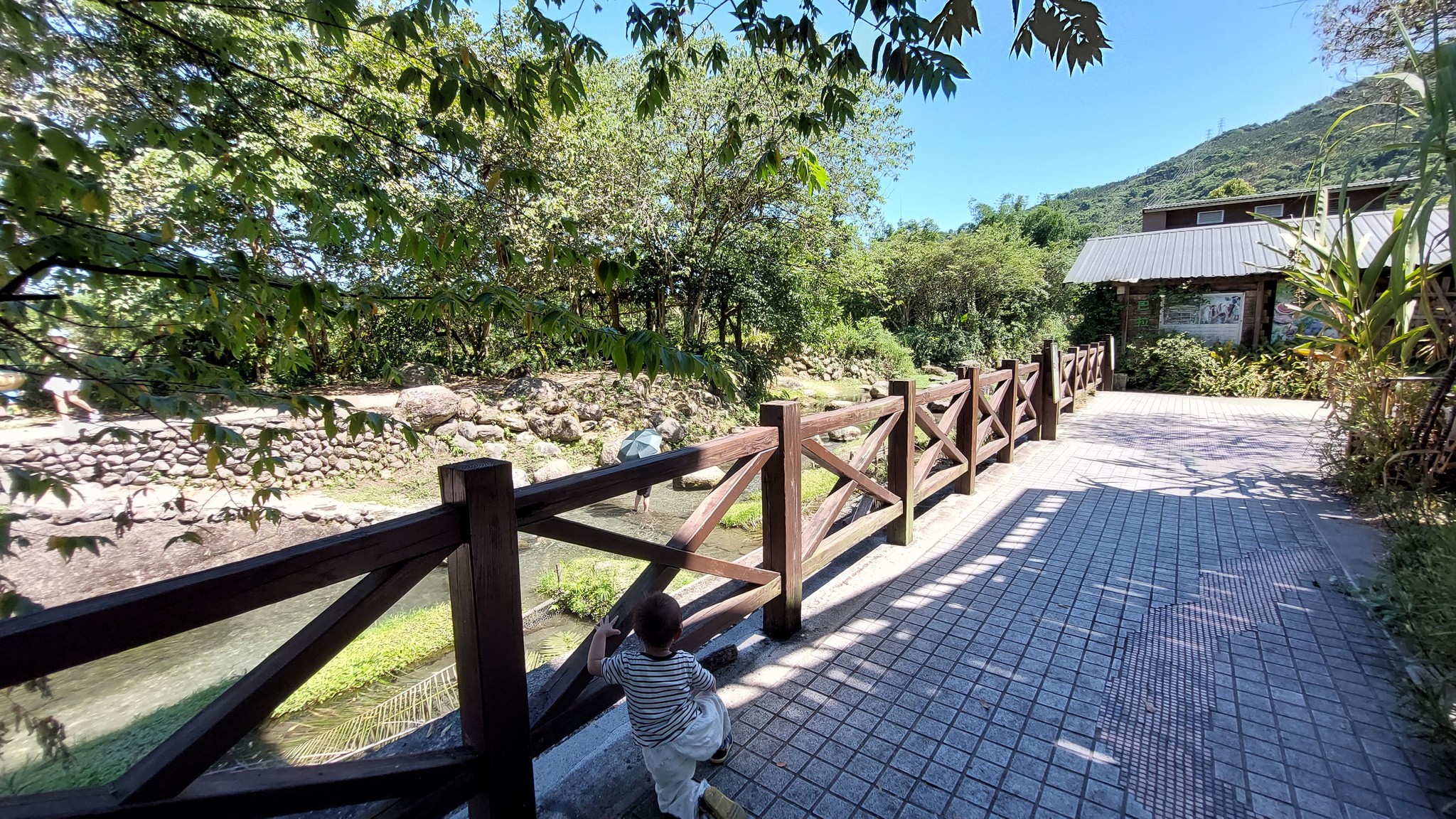 相片