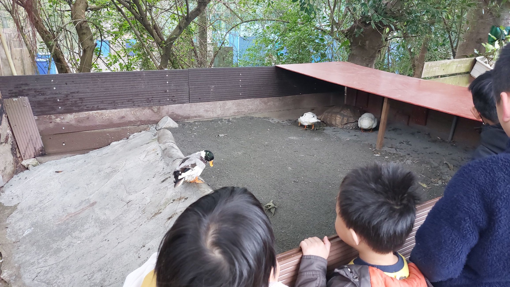 手機上傳